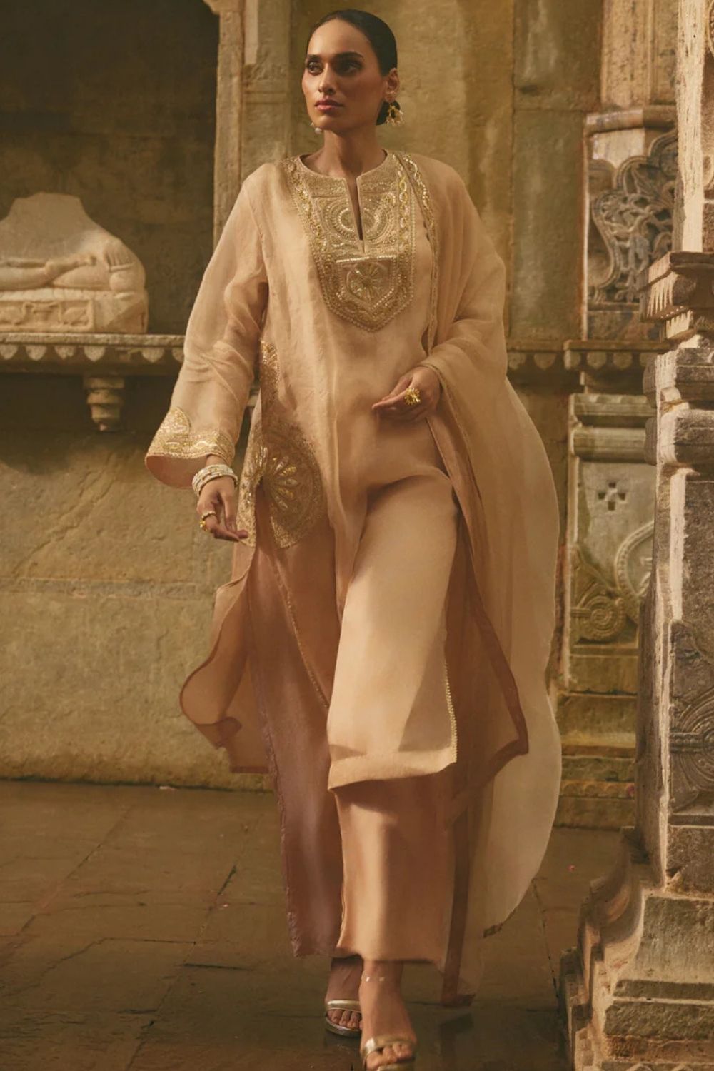 Beige Organza Kurta Set