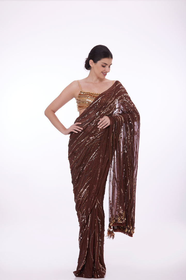 Brown sequins chiffon sari & petticoat