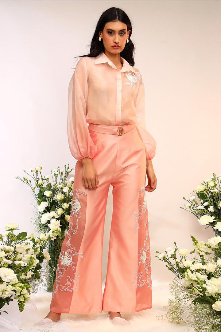 Peach Organza Sheer Co-ord Set