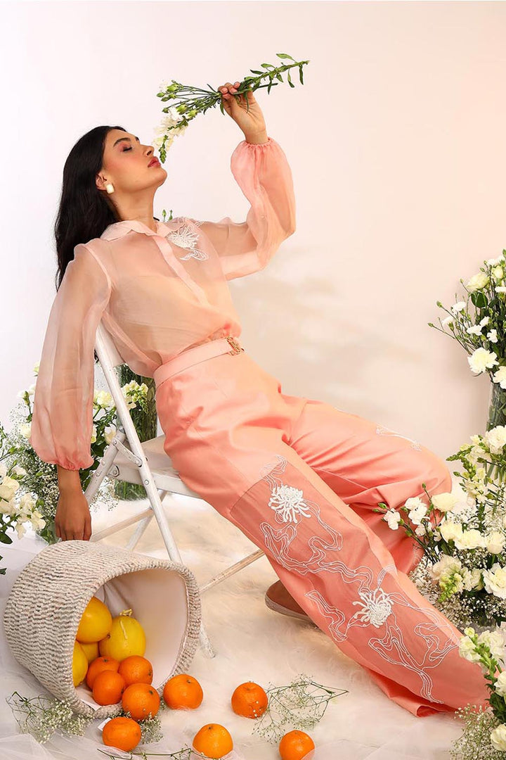Peach Organza Sheer Co-ord Set