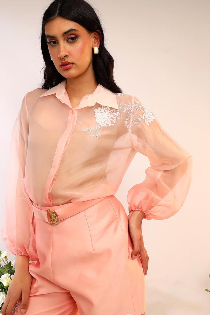 Peach Organza Sheer Co-ord Set