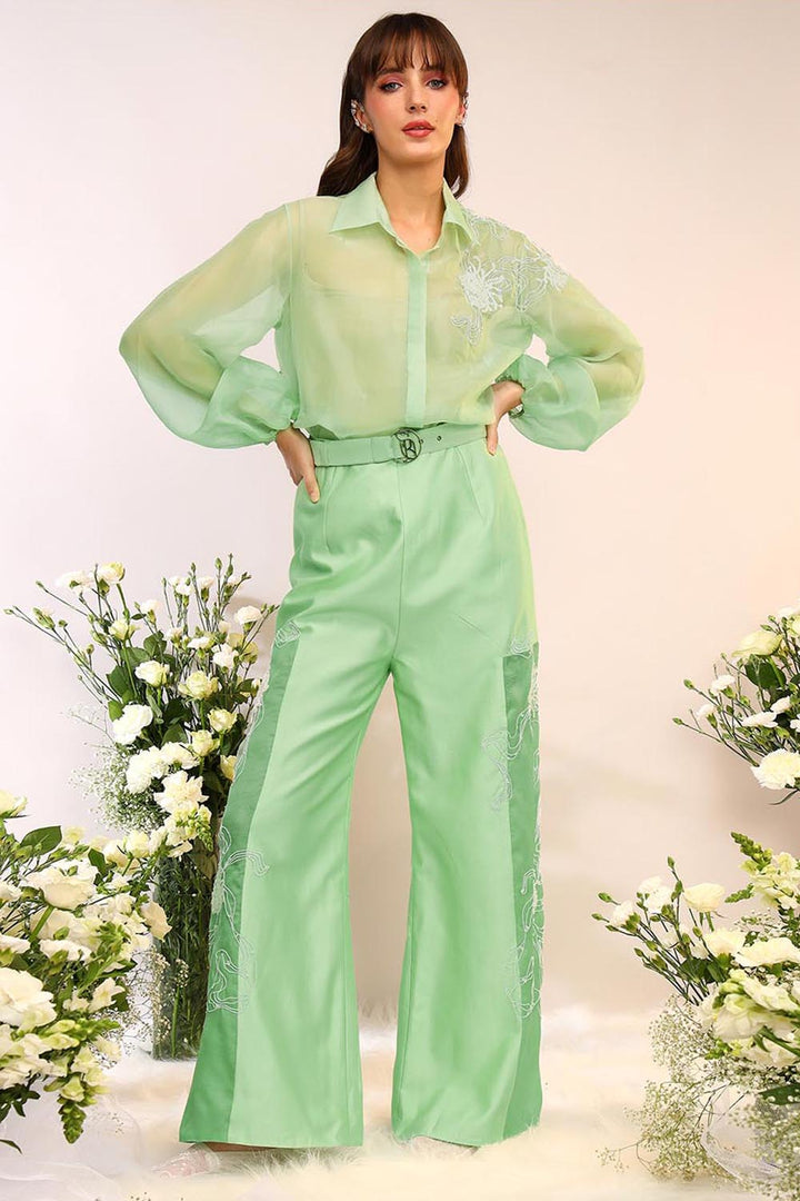 Kiwi Green Organza Sheer Co-ord Set