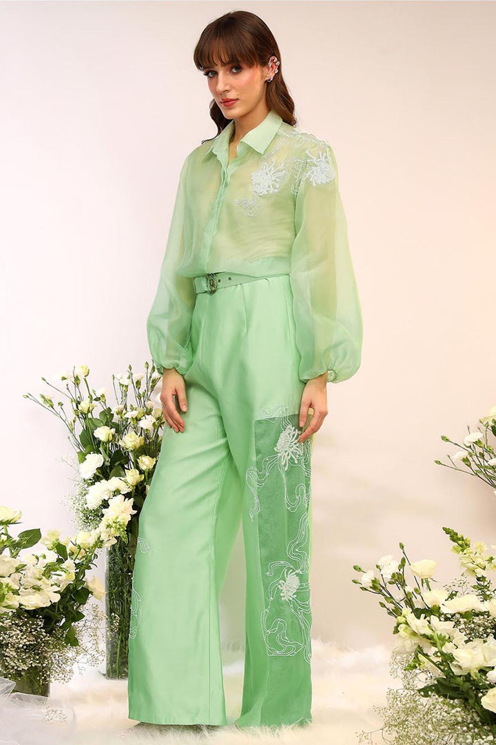 Kiwi Green Organza Sheer Co-ord Set
