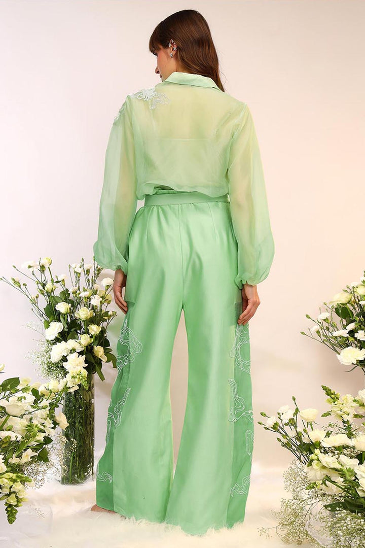 Kiwi Green Organza Sheer Co-ord Set