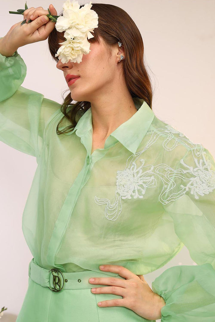 Kiwi Green Organza Sheer Co-ord Set