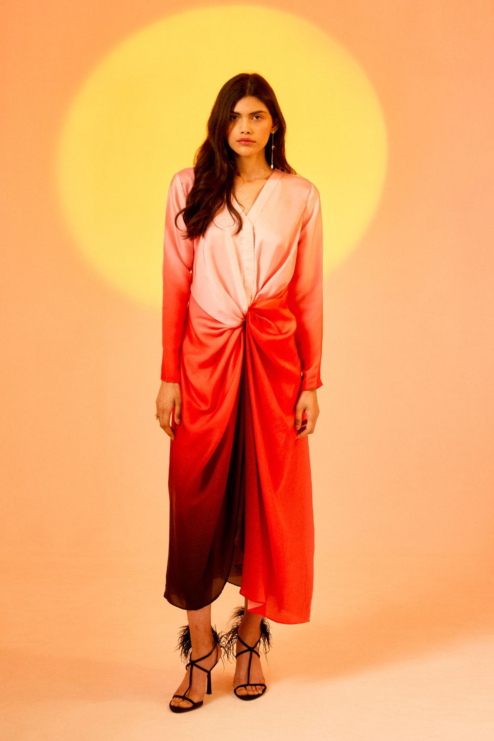 Echo Rose A-Line Dress
