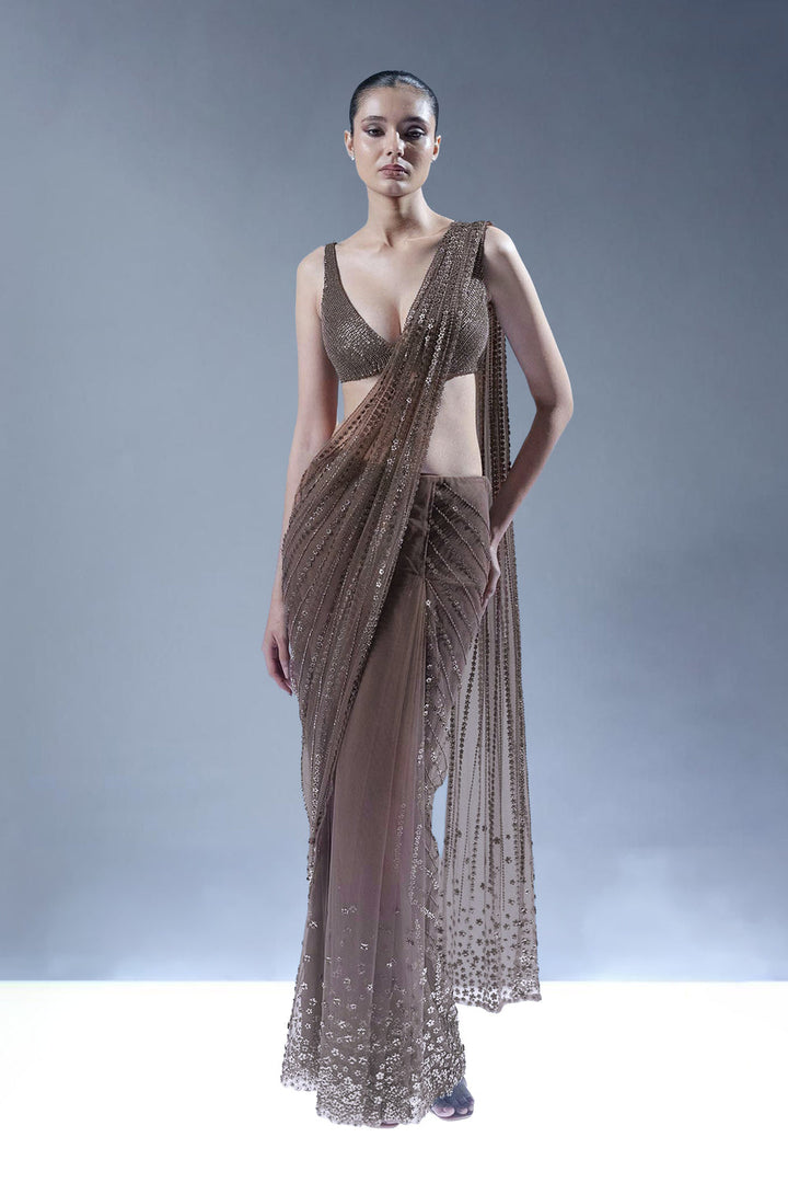 Seraphic Pallu Silhouette