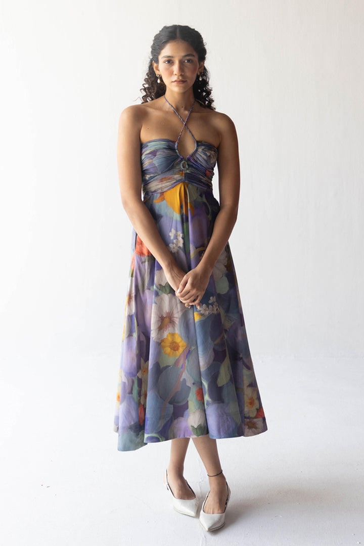 Blueberry Grove Dress