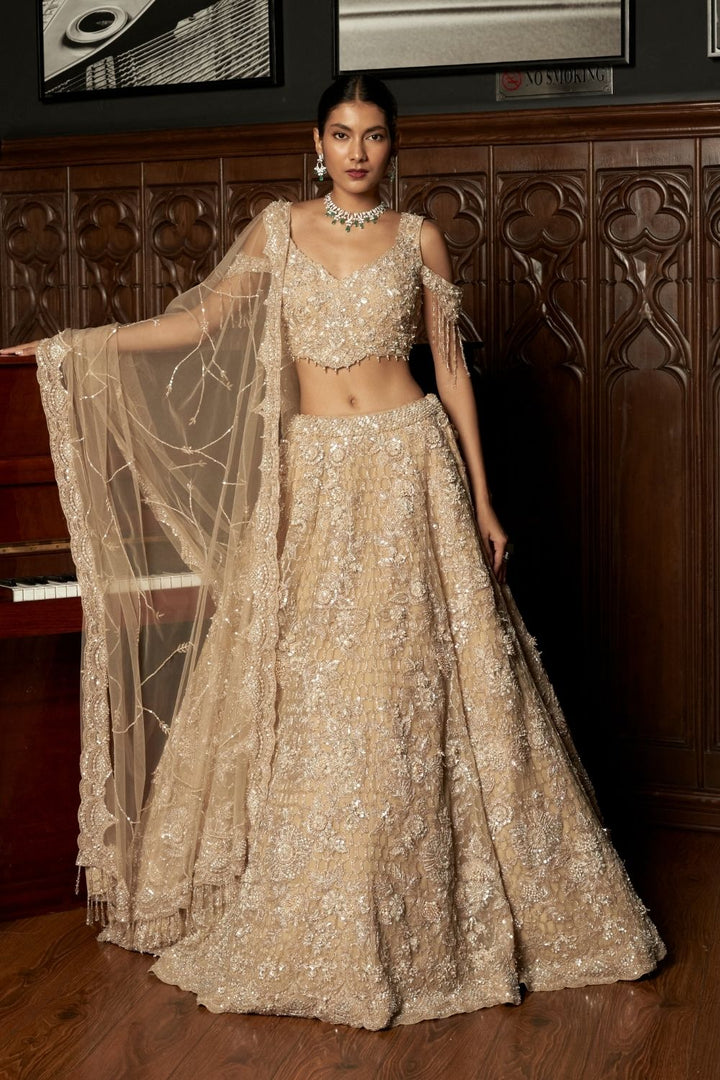 Beige 3D Lehenga Set