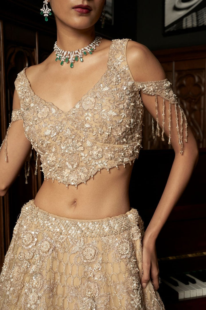 Beige 3D Lehenga Set