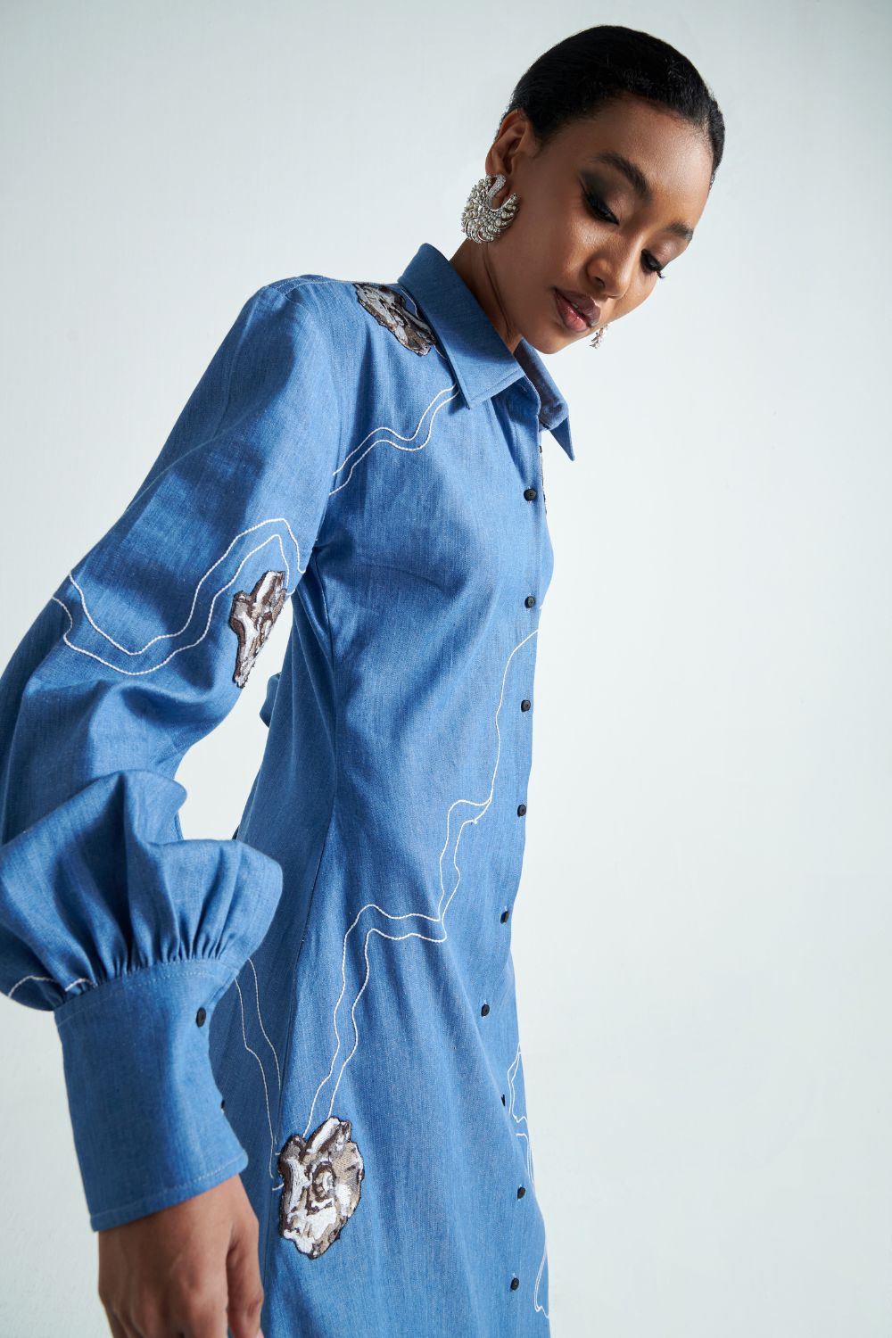 Avian Chic Shirt Dress