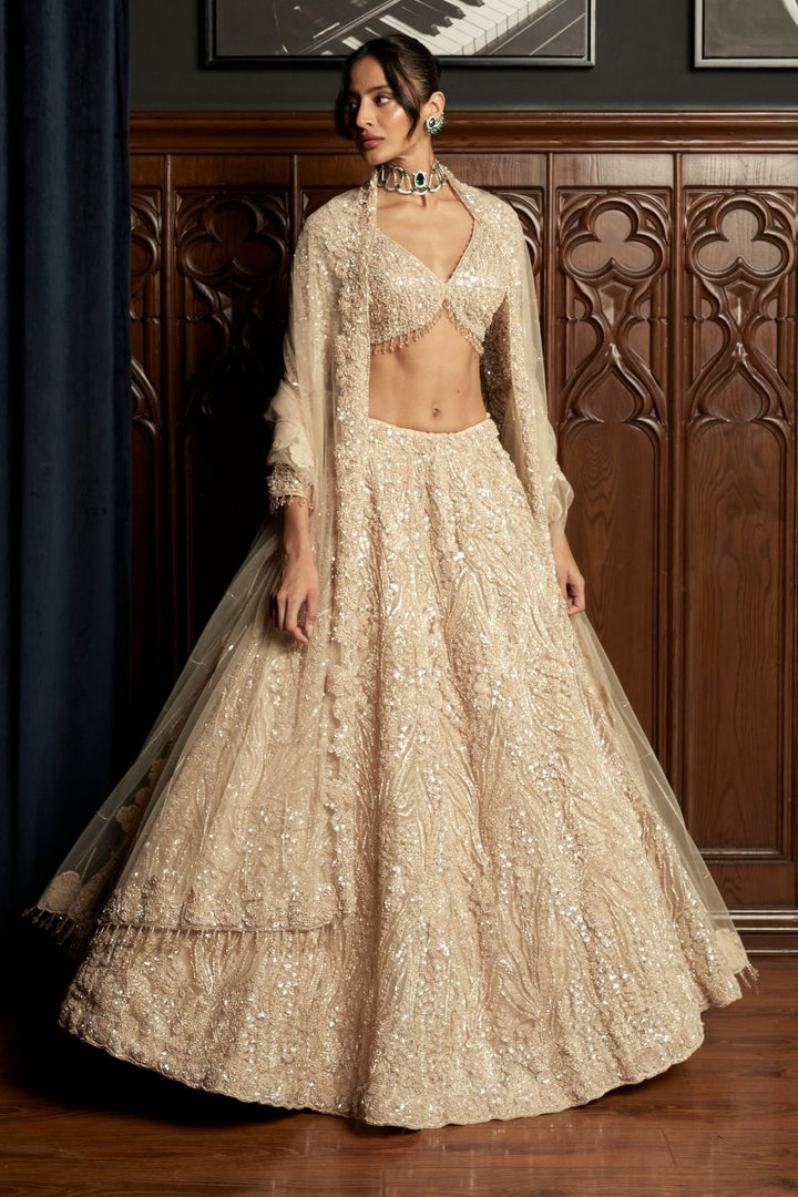 Beige Lehenga Set