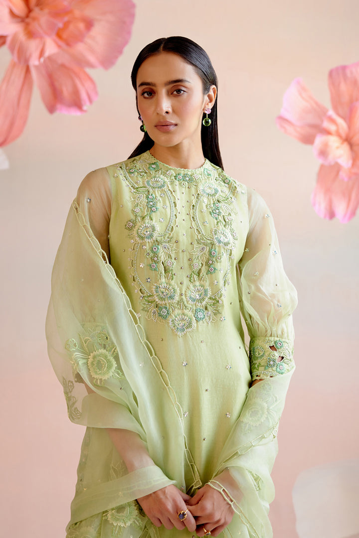 Mint Green Tonal Cutwork Dupatta