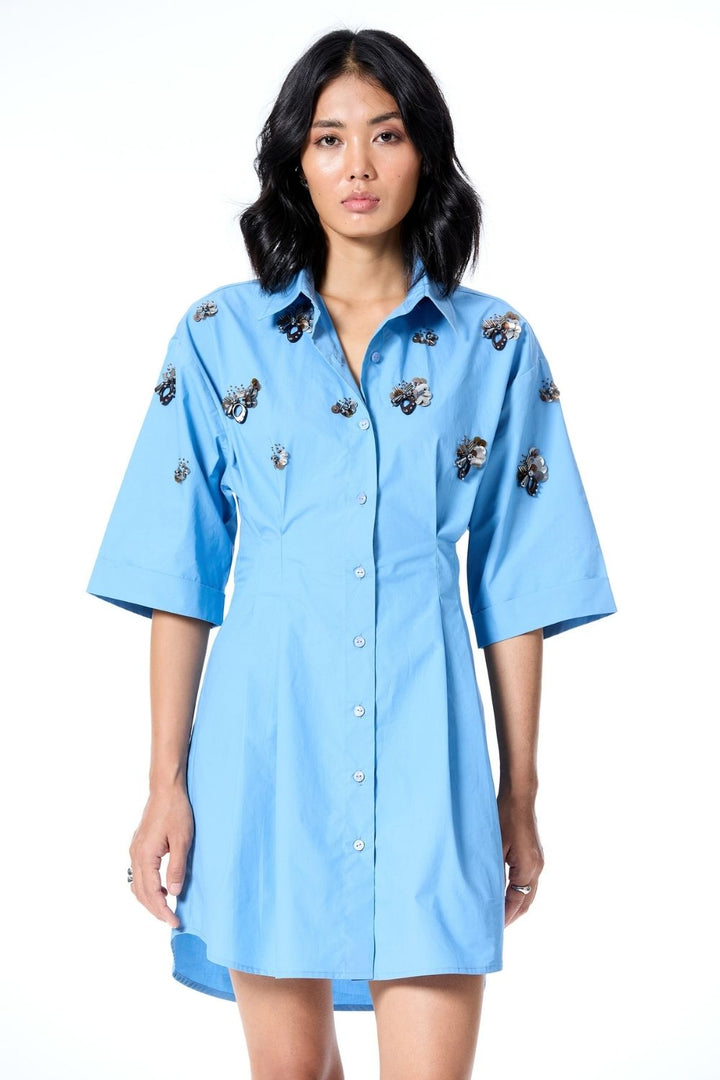 Erza Shirt Dress