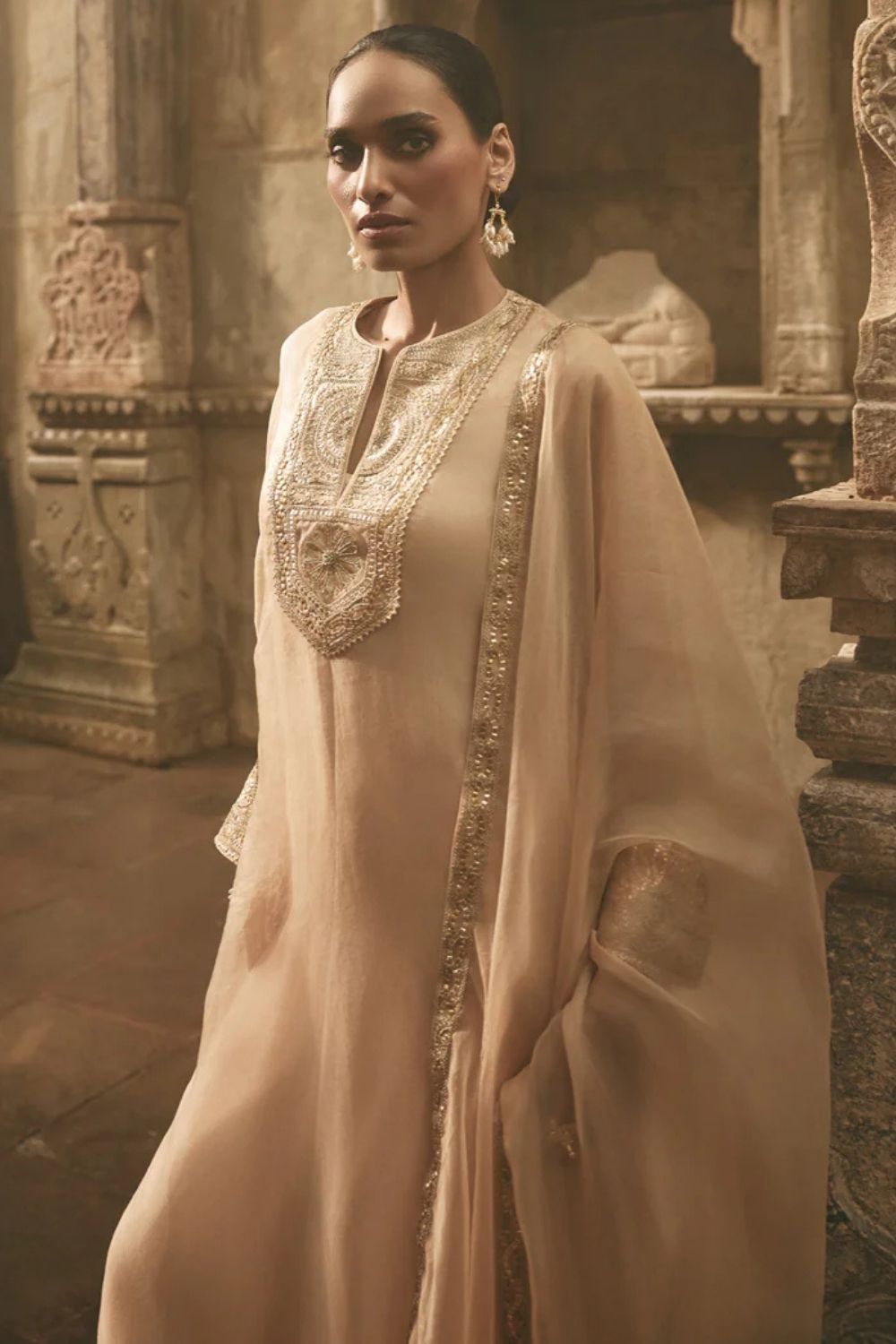 Beige Organza Kurta Set