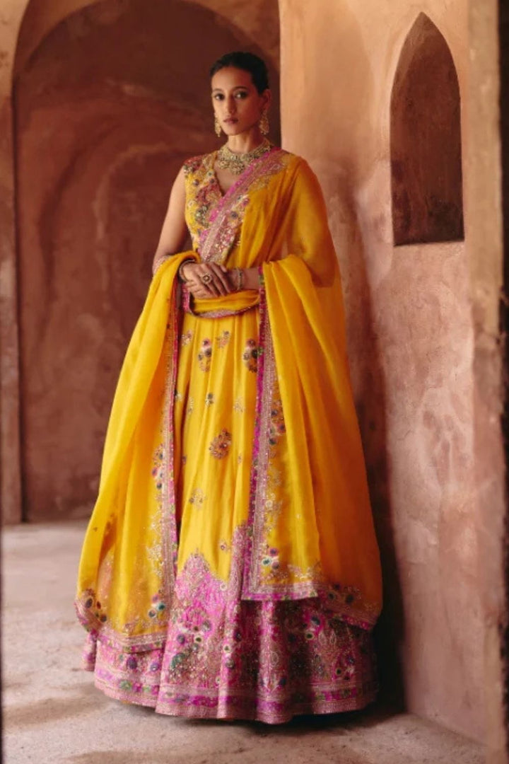 Gulrez Light Organza Lehenga With Dupatta