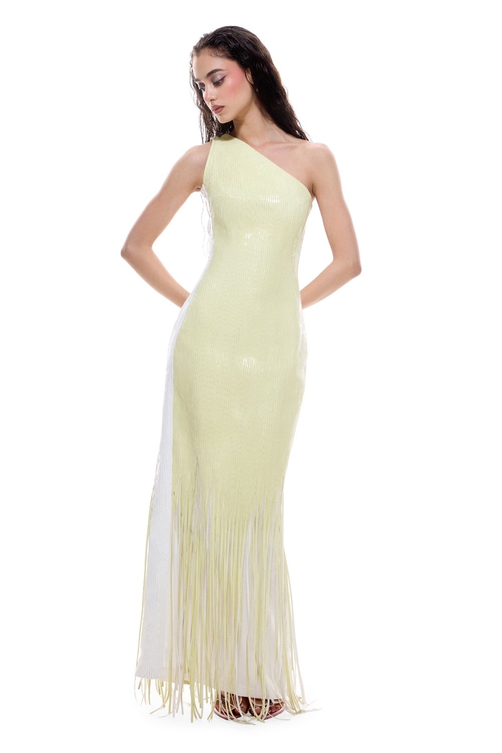 Averrhoa Bodycon