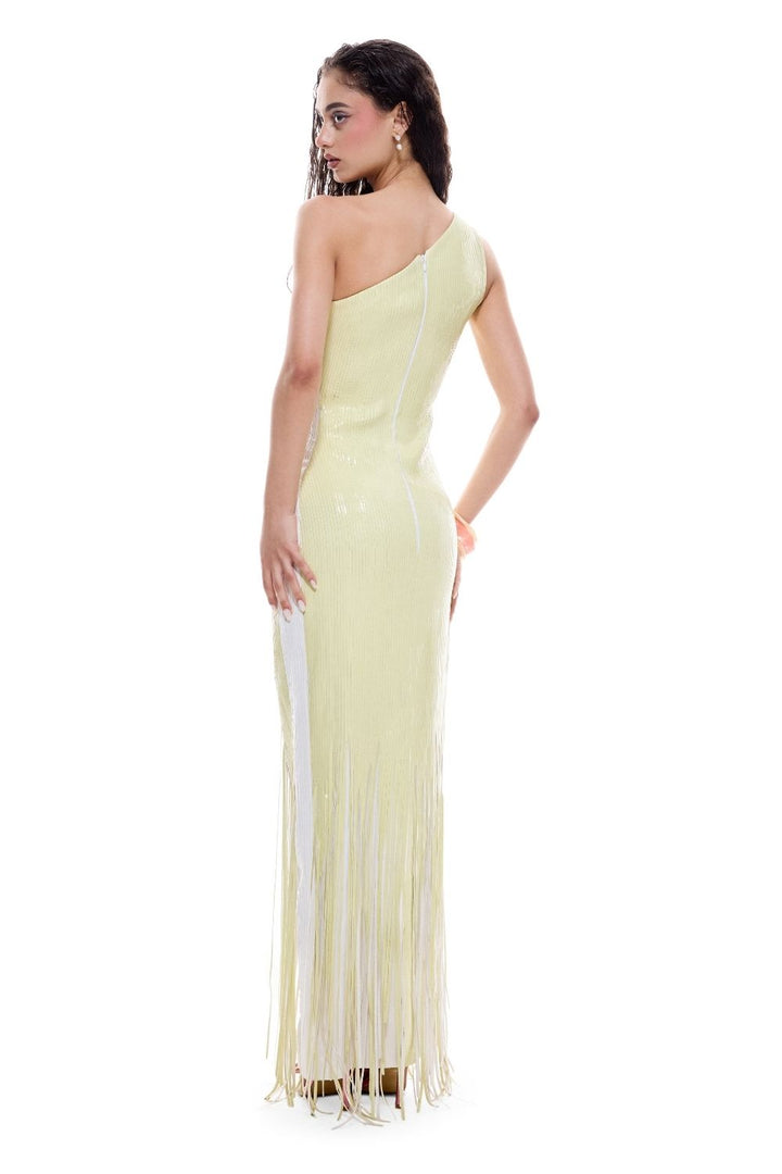 Averrhoa Bodycon