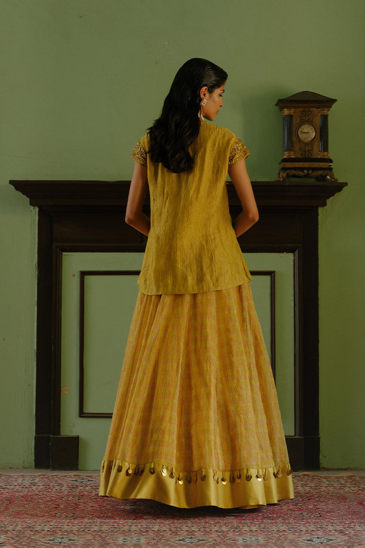 Nalini Top and Lehenga Set