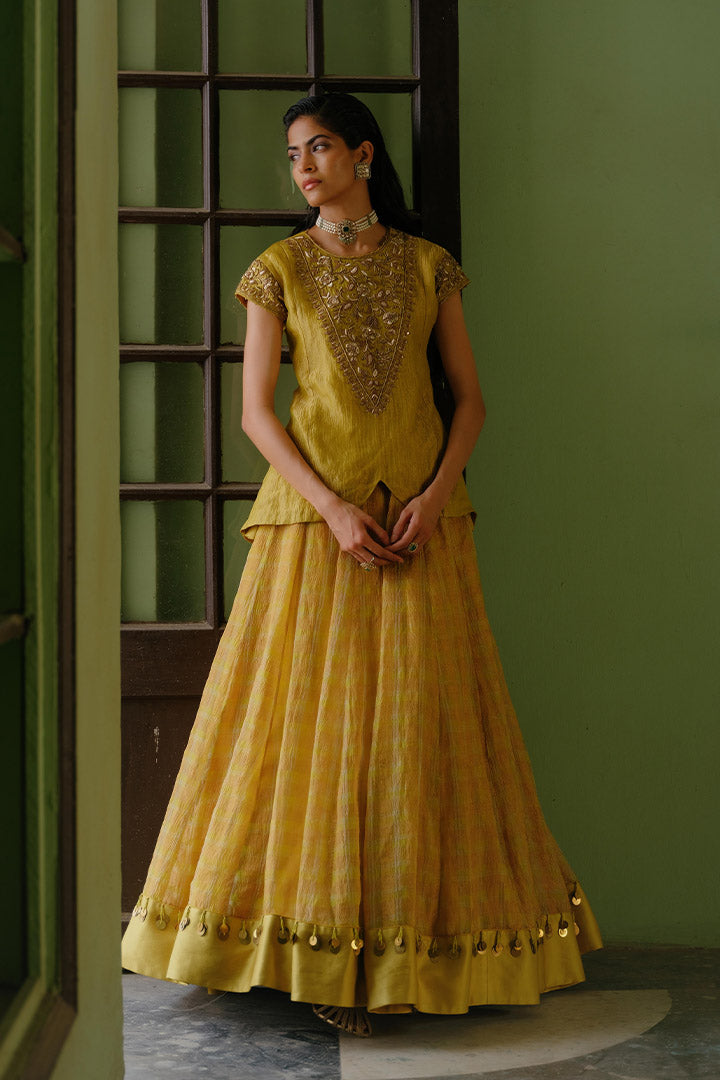 Nalini Top and Lehenga Set