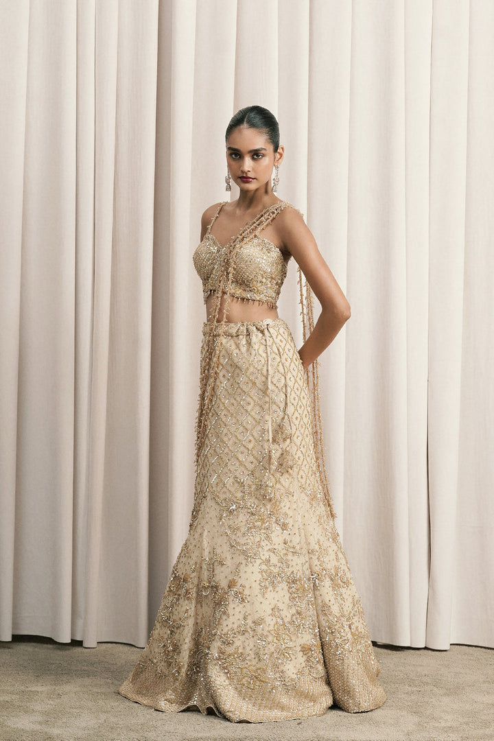 Beige Fish-Cut Embroidered Lehenga With Blouse