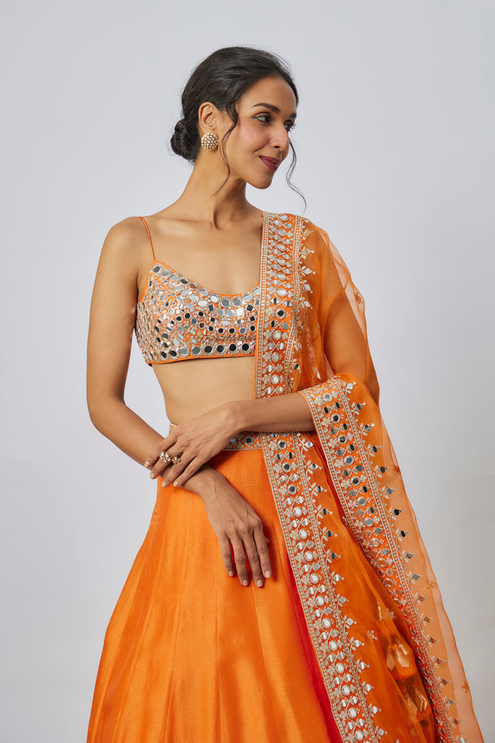 Janya Lehenga Set