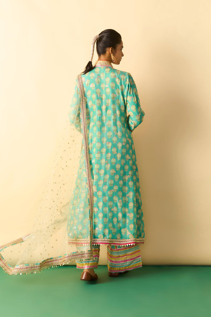 Binita Pallazo Set