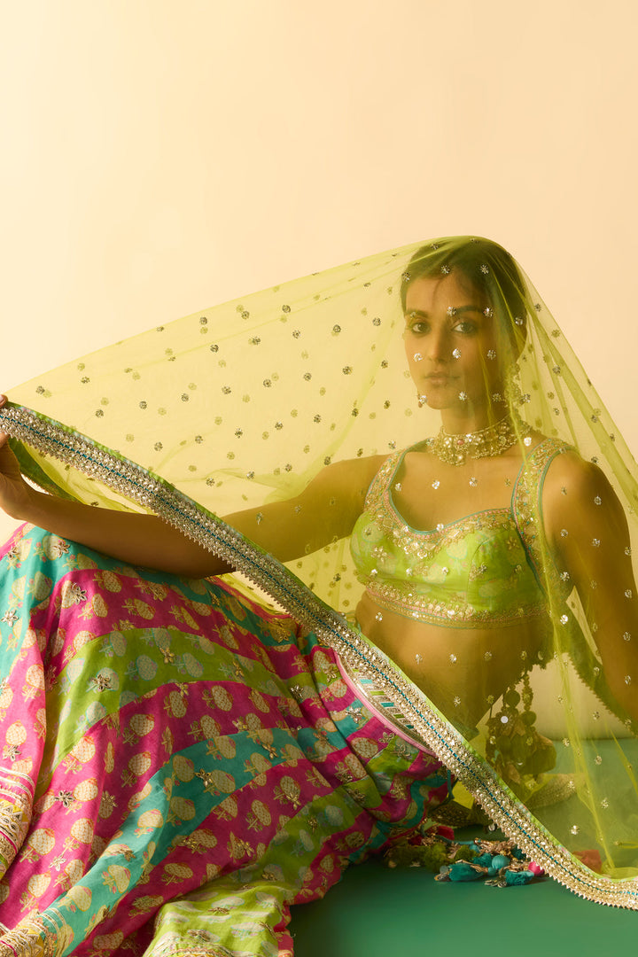 Shyama Lehenga Set