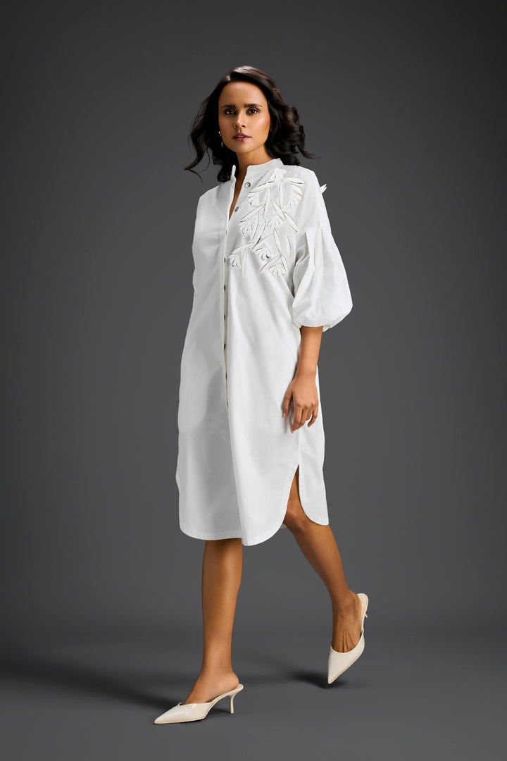 White Shirt Dress
