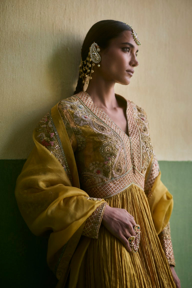 Brocade Crush Kalidar