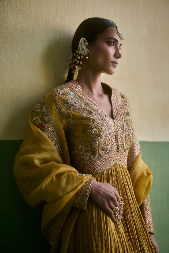 Brocade Crush Kalidar