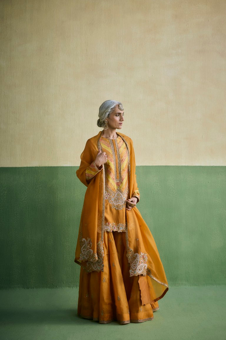 Kurta With Booti Organza Sharara & Organza Dupatta