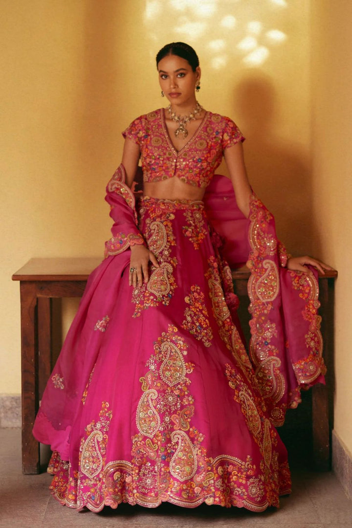 Organza Lehenga With Blouse And Dupatta