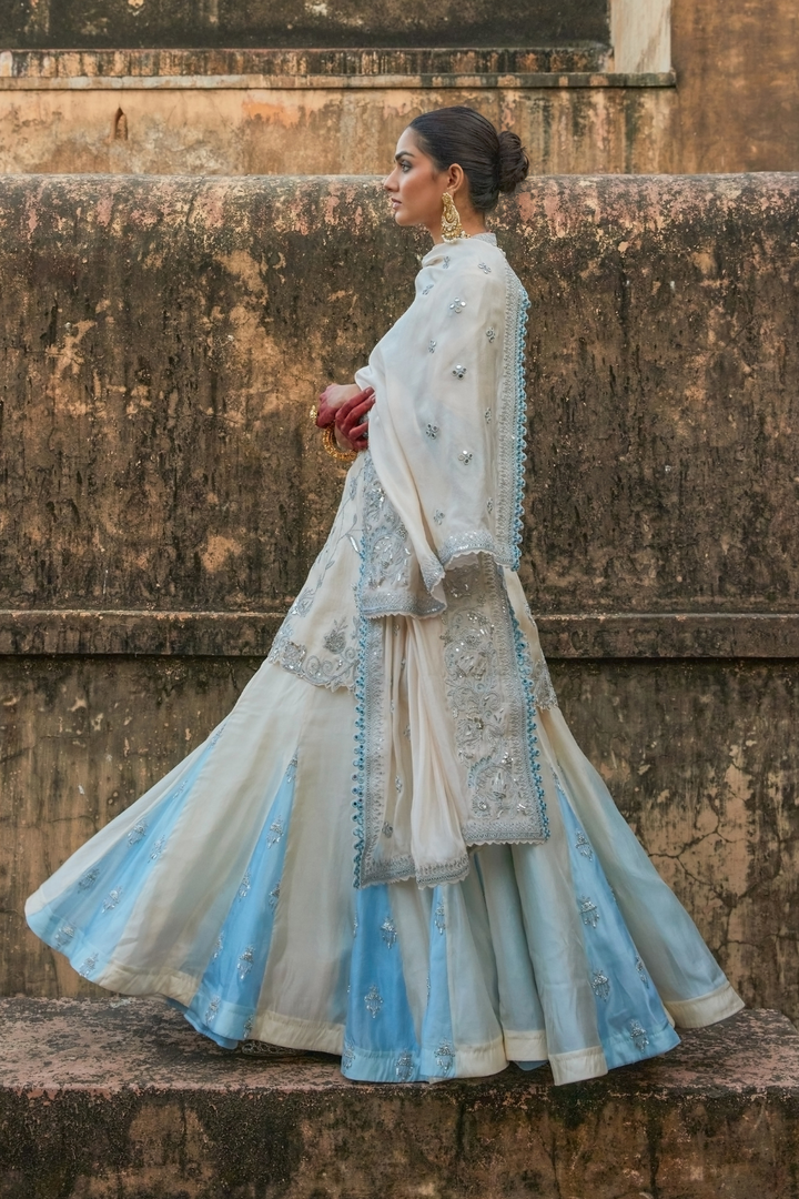 Aarna Silk Fusion Set