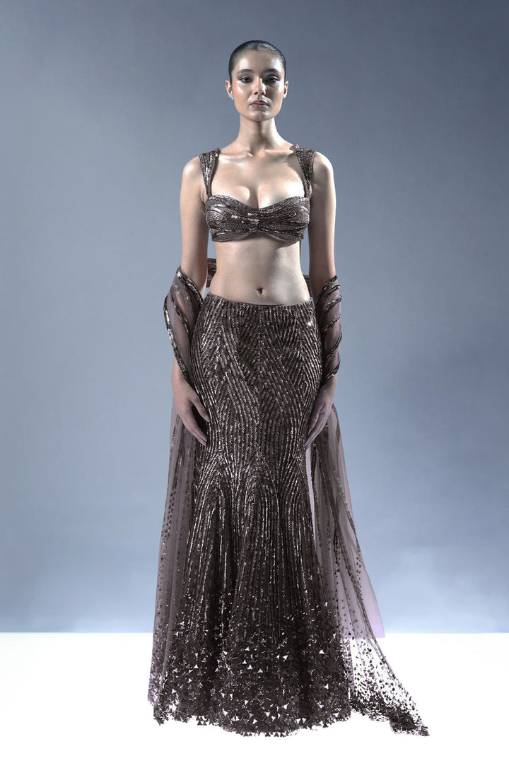 Starlit Cascade Lehenga Set