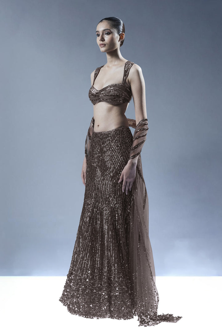 Starlit Cascade Lehenga Set